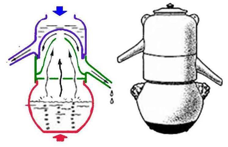 Парагвайский вариант. Часть 1 (СИ) - img_14