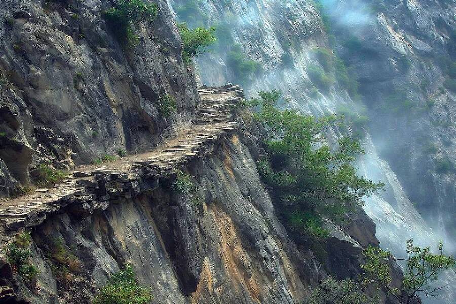 Геном хищника. Книга четвертая (СИ) - img_8