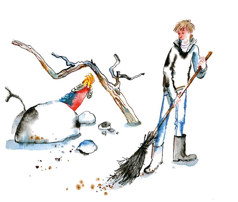 Не кормить и не дразнить! - i_011.jpg