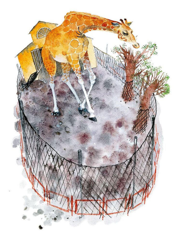 Не кормить и не дразнить! - i_013.jpg