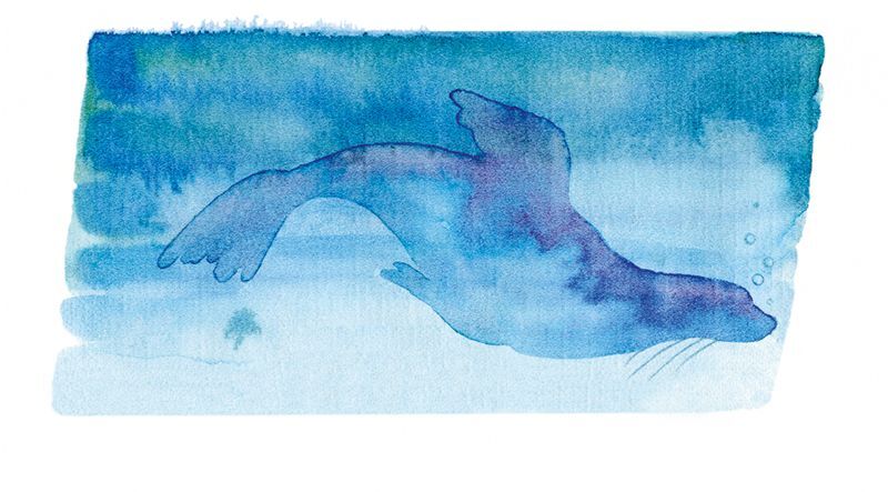 Не кормить и не дразнить! - i_020.jpg