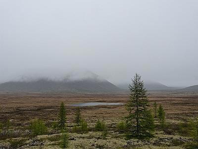 Возвращение в золотой край (СИ) - img_29