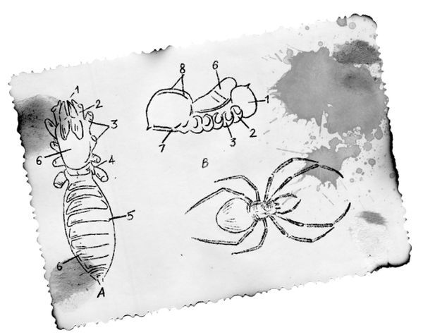 Отсюда не возвращаются - i_004.jpg