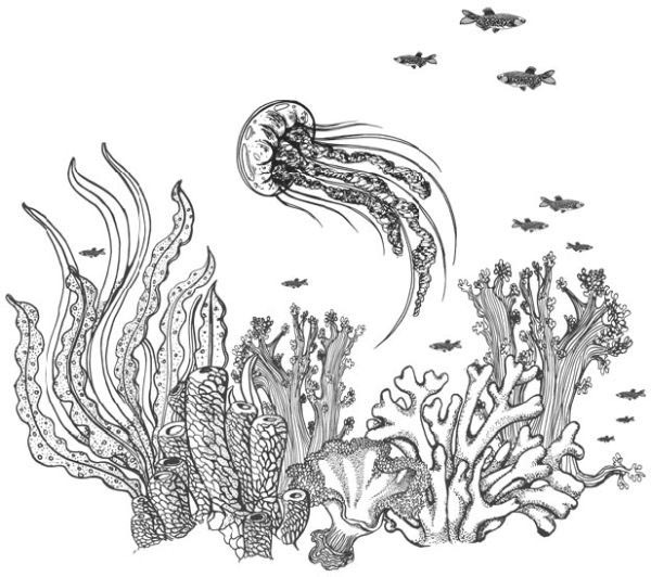 Песнь бездны - i_012.jpg