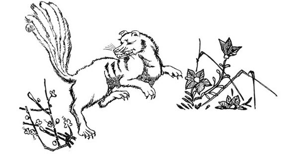 Канашибари. Пока не погаснет последний фонарь. Том 3 - i_016.jpg