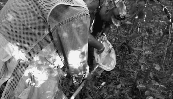 Планета муравьёв - img_27