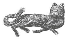 Шепот в тишине. Мистические истории - i_004.jpg