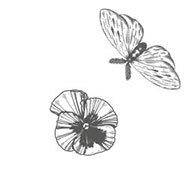 Шепот в тишине. Мистические истории - i_007.jpg