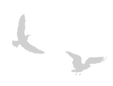 Где кончается мир - i_025.png