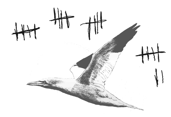 Где кончается мир - i_039.png