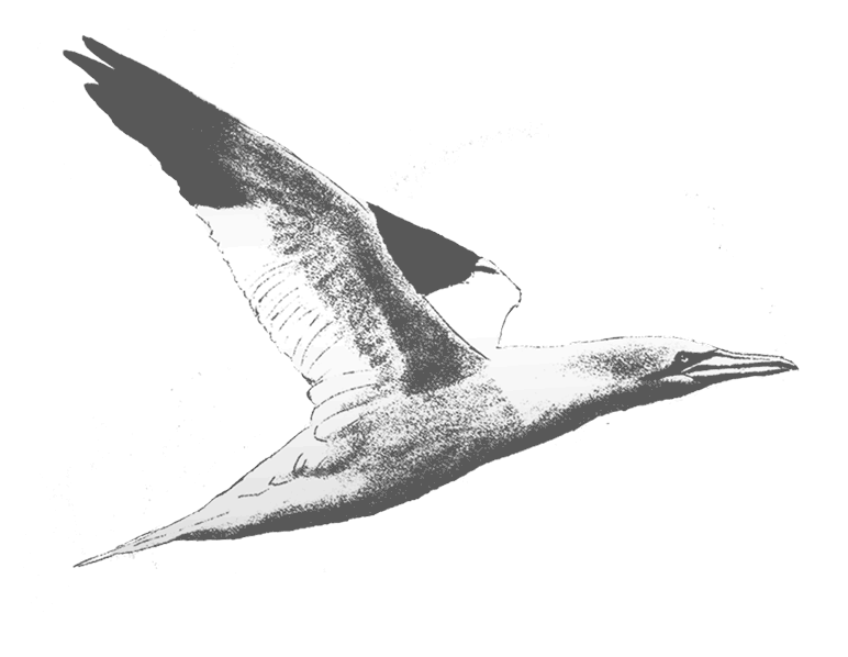 Где кончается мир - i_048.png