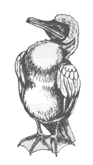 Где кончается мир - i_049.png