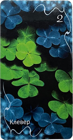 Оракул «Затмение» с нуля до профи - i_002.jpg