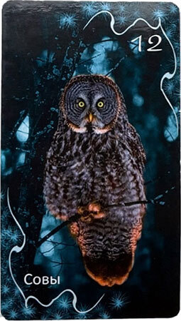 Оракул «Затмение» с нуля до профи - i_012.jpg