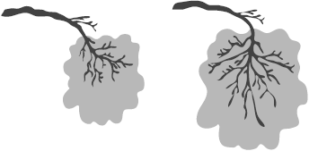 СуперИммунитет. Методика питания, которая укрепит здоровье, защитит от многих заболеваний и значительно продлит жизнь - _08.png
