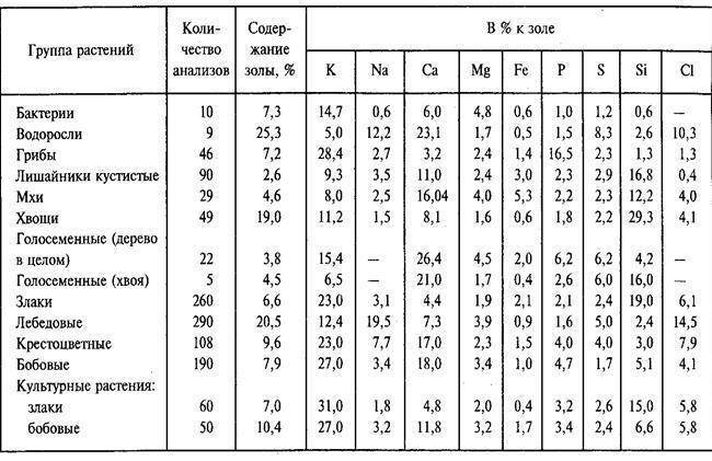 Барон фон дер Зайцев (СИ) - img_8