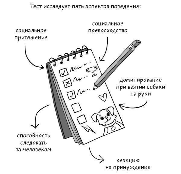 Тебе ЛАЙк. 60 советов и одна собака - i_004.jpg