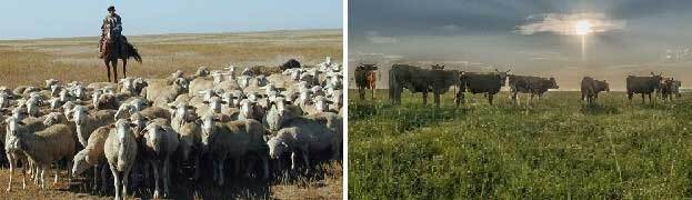 Провал (СИ) - _2107.jpg