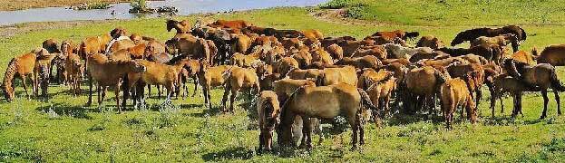 Провал (СИ) - _2108.jpg