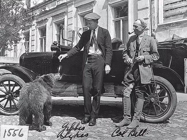 Мир сошел с ума (СИ) - img_15