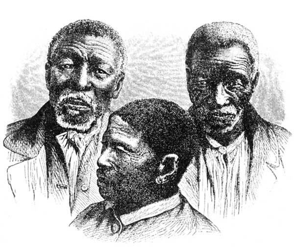 Сказки африканских народов. Картина мира, быт, нравы, обычаи, приключения, чудовища, колдуны, людоеды, животные - i_001.jpg