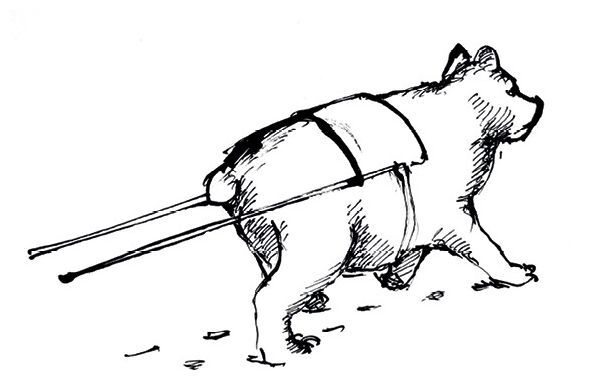 Как спасти Рождество? - i_016.jpg