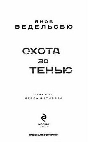 Охота за тенью - i_001.jpg