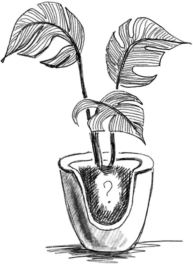 Янтарики. Жизненные ситуации, которые делают нас нами - i_004.jpg