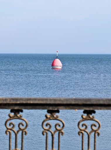 Звери. История группы - img_111