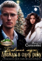  Селезнёва Алиса - Бывший муж: дважды в одну реку (СИ)
