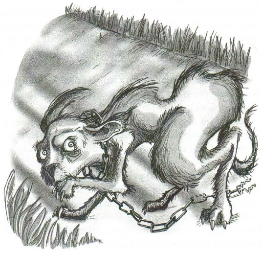 Страшные истории острова Джерси (ЛП) - img_13