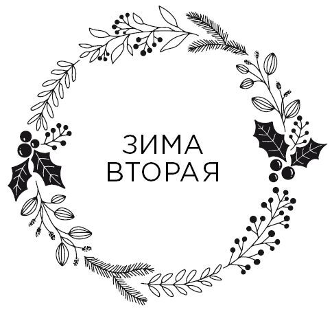 Пятая зима - i_004.jpg