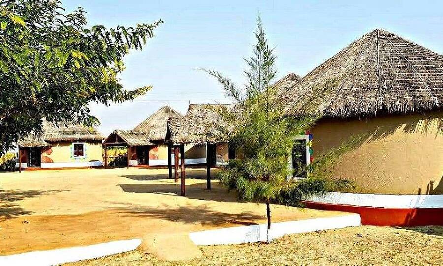 Питбуль и Митрофанушка (СИ) - img_24