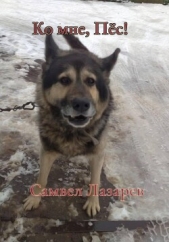 Читать книгу Лазарев Самвел Викторович - Ко мне, Пёс! на сайте Knigger.com Лазарев Самвел Викторович - Ко мне, Пёс!