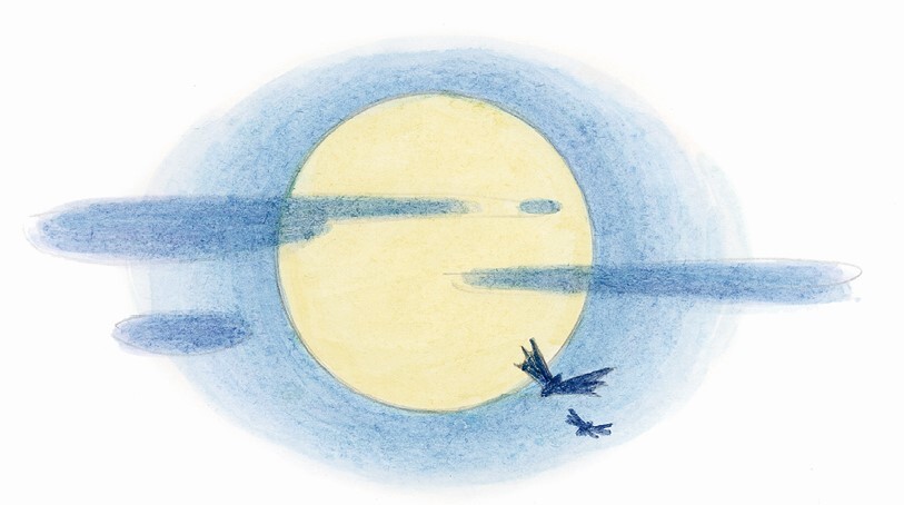 «Фантазёры» и другие рассказы - i_008.jpg