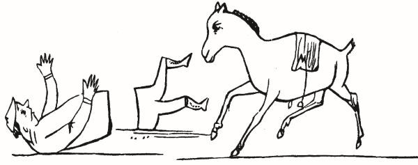 Большая книга чепухи - i_053.jpg