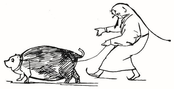 Большая книга чепухи - i_086.jpg