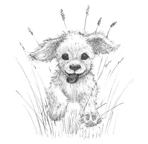 Щенок Ханни, или Возвращайся скорее - i_001.jpg