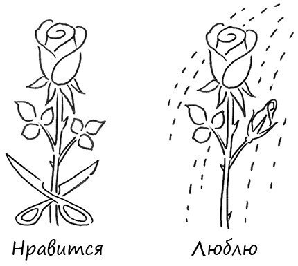 8 правил любви. Настроить сердце на любовь и сберечь чувства в отношениях - i_001.jpg