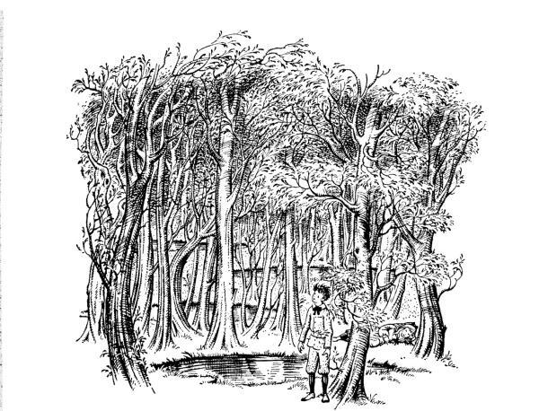 Хроники Нарнии - i_004.jpg