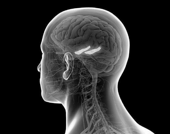 Как использовать возможности мозга. Для тех, кто хочет все успеть - i_020.jpg