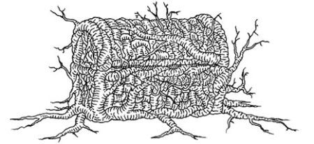 Сновичи - i_007.jpg