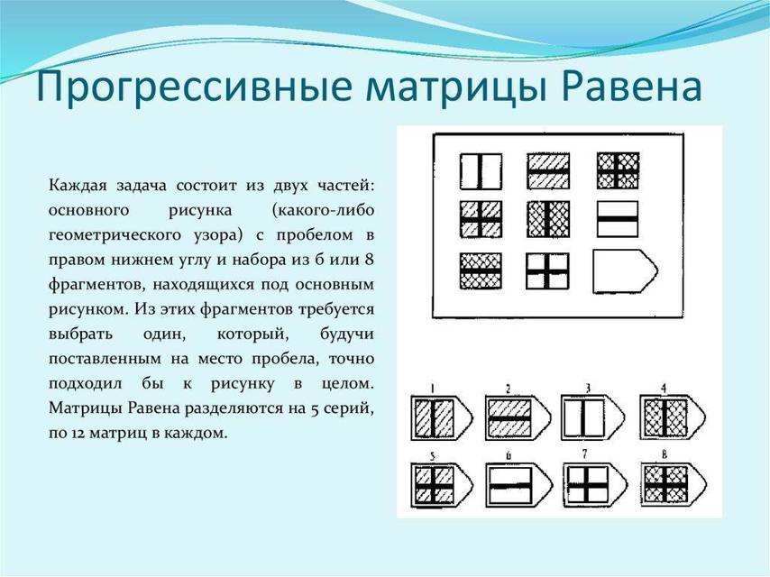 Парагвайский вариант. Часть 2 (СИ) - img_17