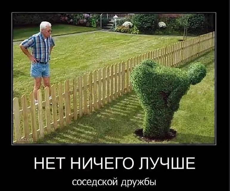 Типичный огородник 3 (СИ) - img_33