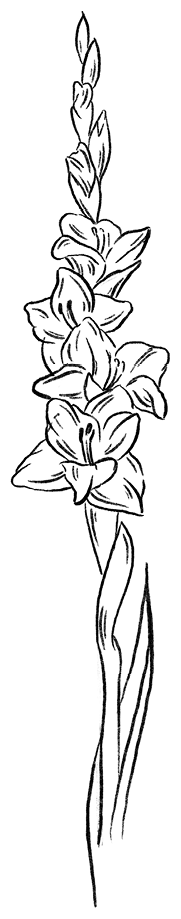 Уравнение с двумя неизвестными - i_001.png