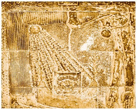 Культы Древнего Египта. От обожествленного солнца и золотой плоти царя до птицы Бену и бога Нуна - i_056.jpg