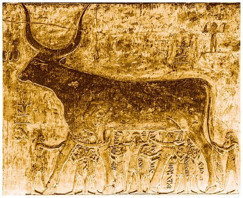 Культы Древнего Египта. От обожествленного солнца и золотой плоти царя до птицы Бену и бога Нуна - i_079.jpg