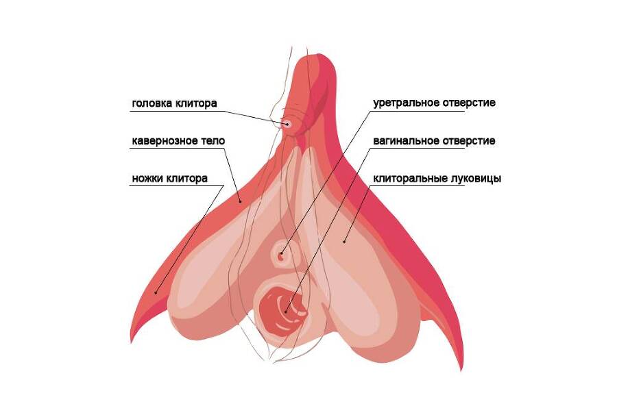 Секс-марафон от Алисы Фокс - _0.jpg