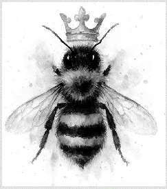 Энтомология для слабонервных - img_3