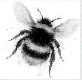 Энтомология для слабонервных - img_4